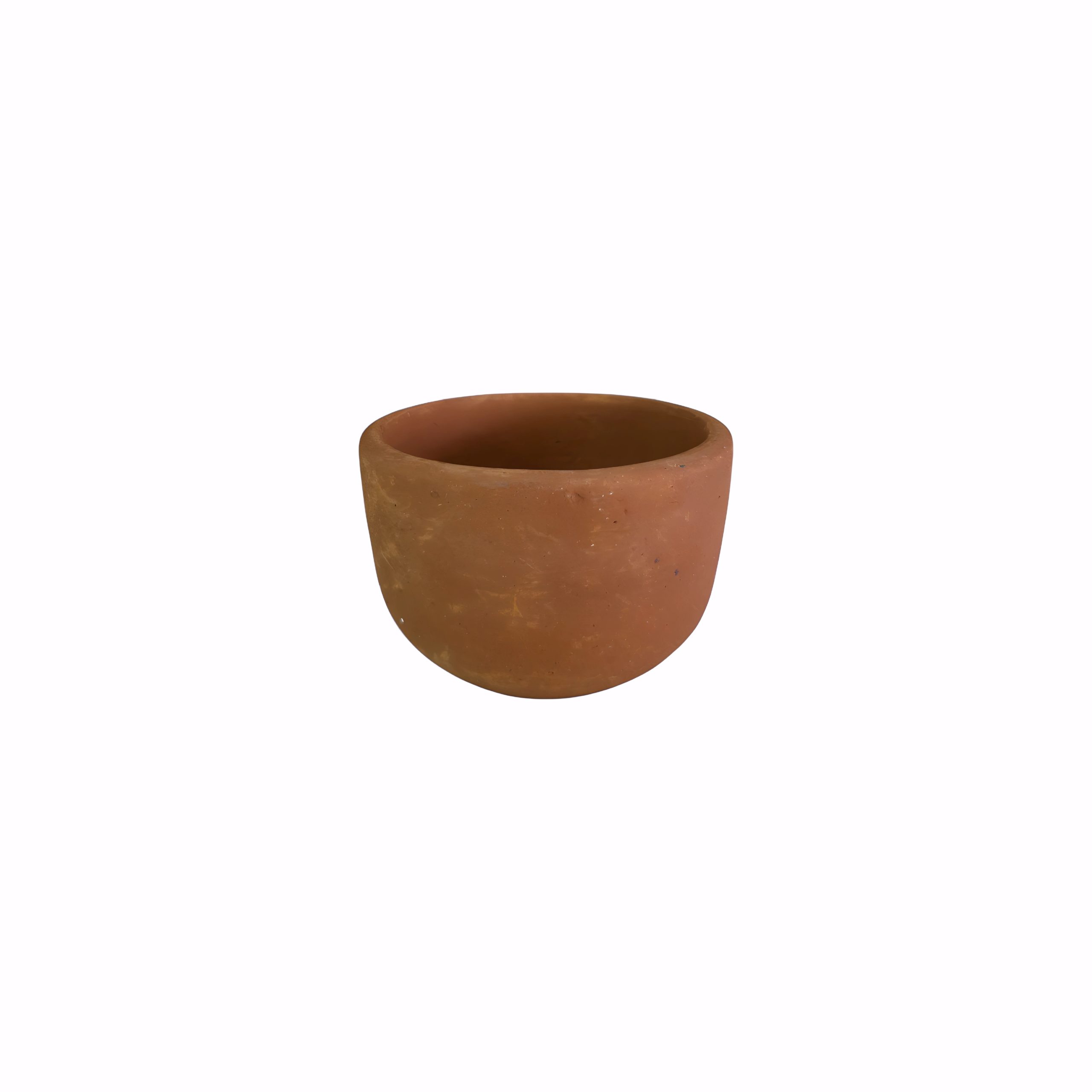 SUCCULENTS POT