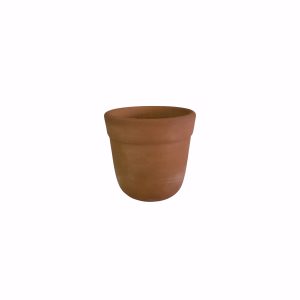 SUCCULENTS POT